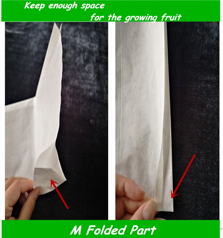 Fruit Cover Mango Fruit Protection Bags Paper