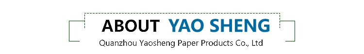 Professional Customized Environmental Protection Soft Packaging Economic Tissue Paper