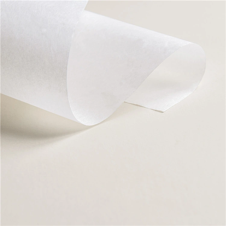 New Arrival Environmental Protection Material Customized Size Filter Paper in Roll